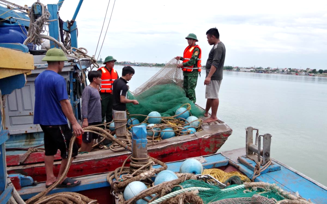 Kiên quyết xử lý các vi phạm quy định về chống khai thác hải sản trái phép